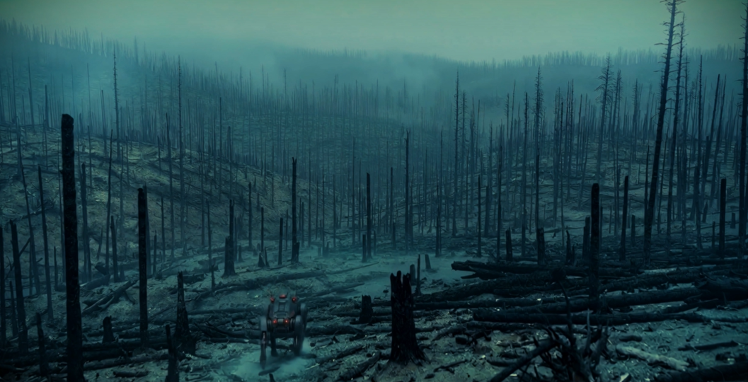 Wide view across the destroyed forest landscape.